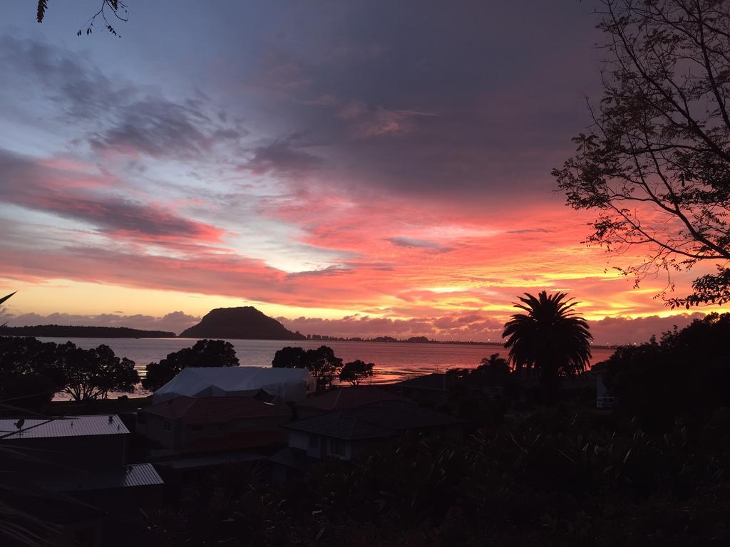 Matua Lodge Tauranga Bilik gambar
